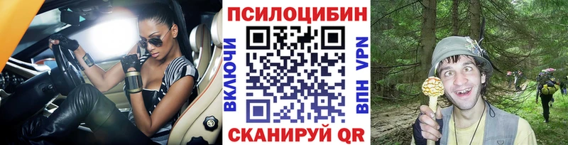 Галлюциногенные грибы Psilocybe Норильск
